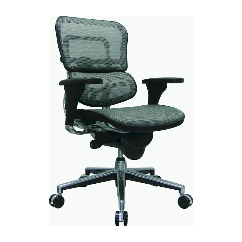 Ergohuman Mesh Managers Chair