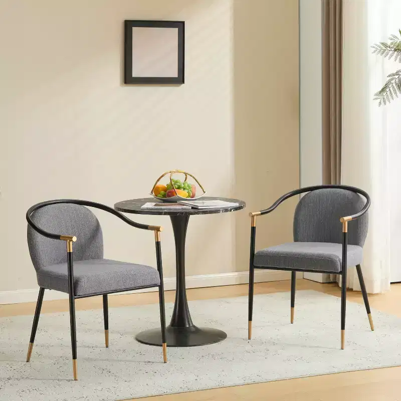 Christopher Knight Home Hugo Modern Metal Upholstered Dining Chair with Curved Back (Set of 2)