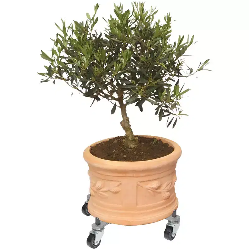 11 to 16.1 Adjustable Metal Plant Caddy  Rust-Proof, Heavy-Duty Rolling Stand