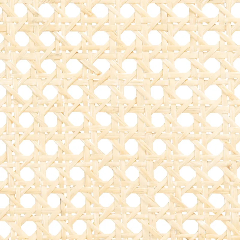 SAFAVIEH Sylva Rattan Cushion Dining Chair (Set of 2) - 19 W x 17.5 L x 32 H - 19Wx18Dx32H