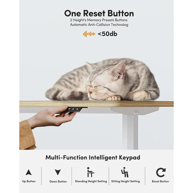 Electric Stand Up Height Adjustable Home Office Table, Sit Stand Desk with Splice Board