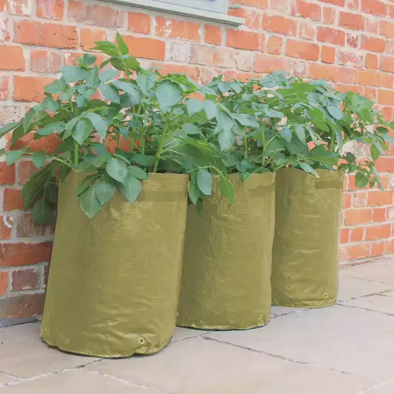 Tierra Garden Potato/Tomato Patio Planter 3pk