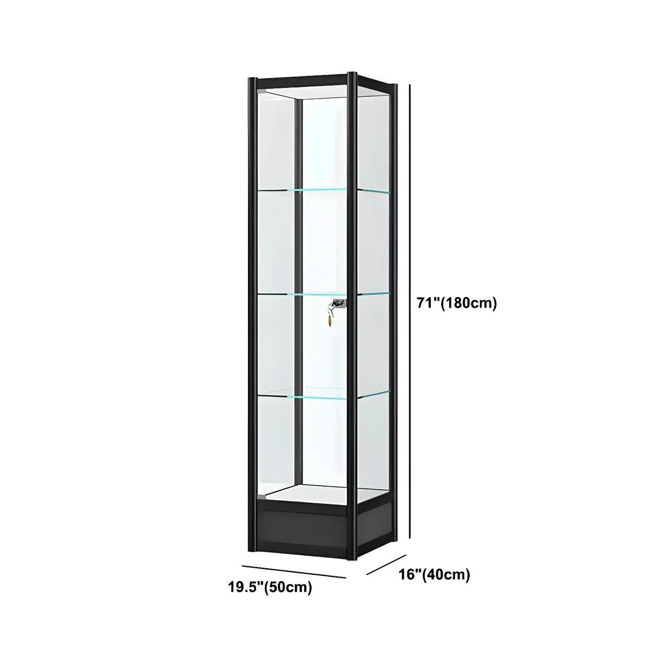 Rectangular Black Clear Glass Metal Frame Curio Cabinet