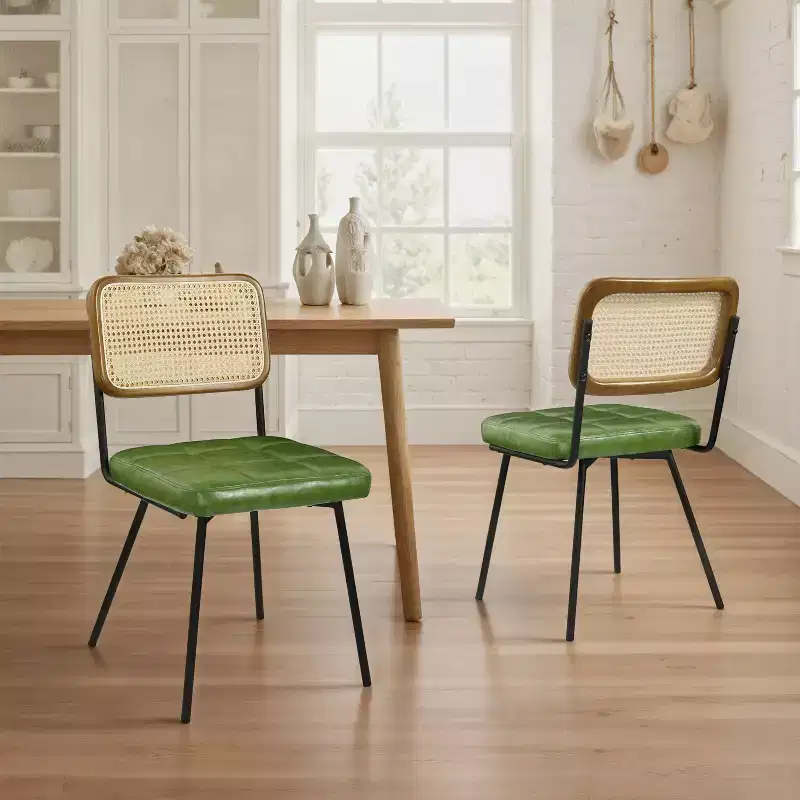 Art Leon Set of 2 Faux Leather Armless Cane Dining Chair with Metal Frame