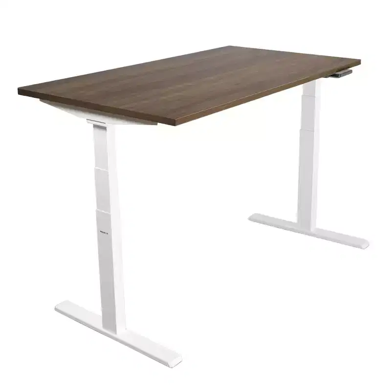 Mount-It! Dual Motor Electric Standing Desk with 55 Tabletop, Brown & White