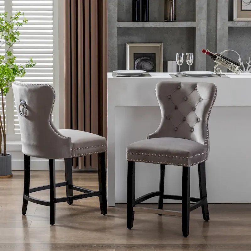 Carter 24  Wingback Tufted Nailhead Counter Stool (Set of 2)