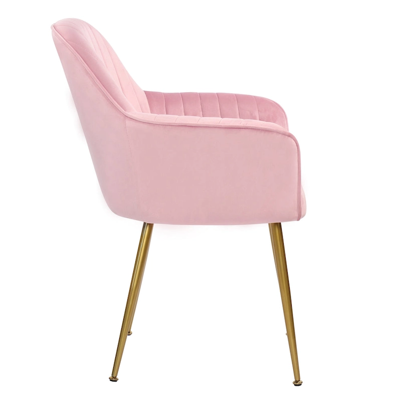 Velvet Accent Dining Chairs with Gold Metal Legs Set of 2