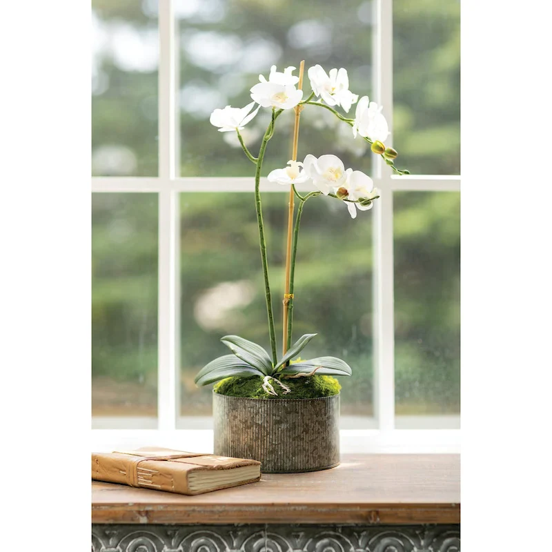 Sullivans Ribbed Planter 4 H Gray - 7.5 L x 7.5 W x 4 H