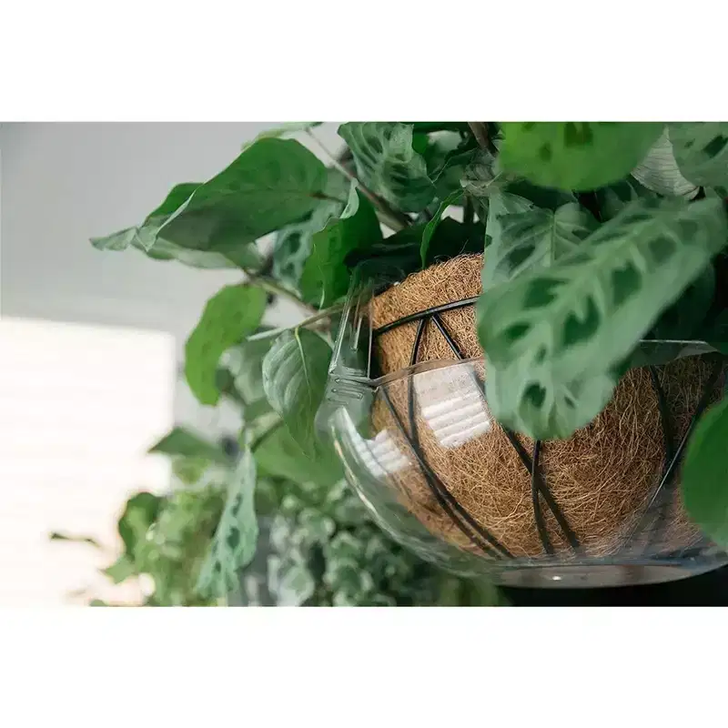 Curtis Wagner Plastics Hanging Basket Drip Pan, Clear, 12-14in