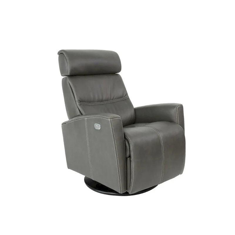 Leather Swing Recliner
