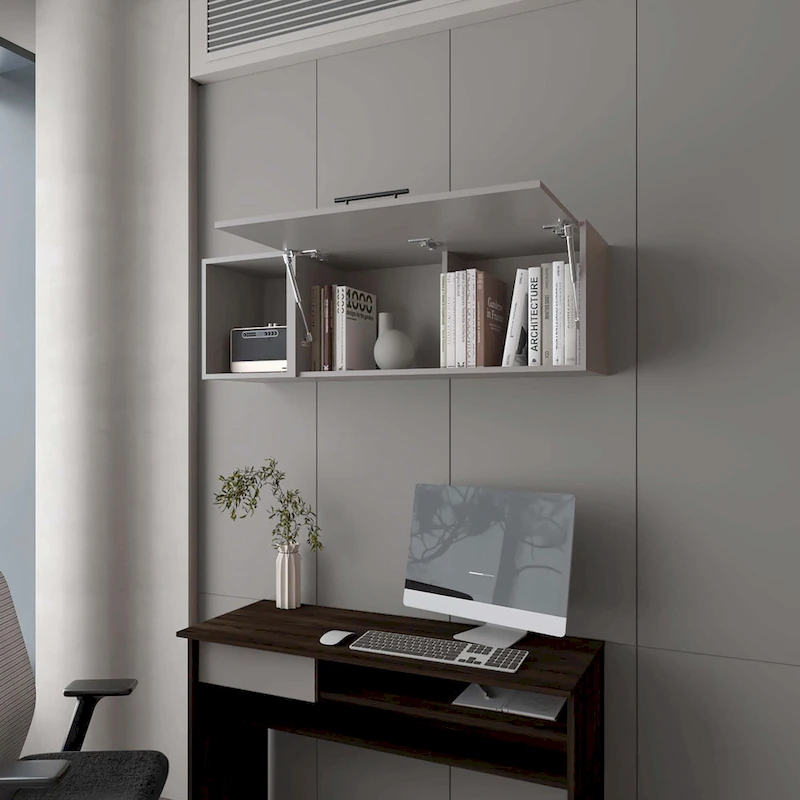 Wall Cabinet with Pneumatic Arms