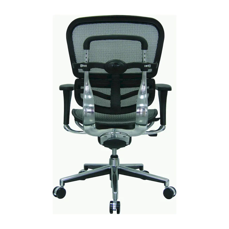 Ergohuman Mesh Managers Chair