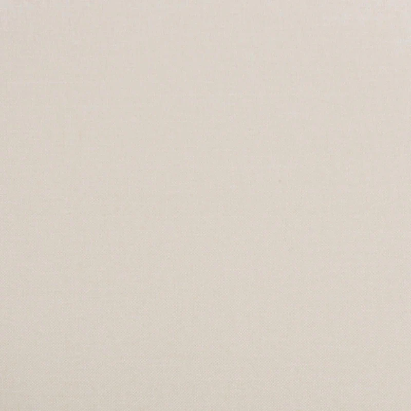 Dannell Mid-Century Modern Wood 2-Piece Dining Chair Set