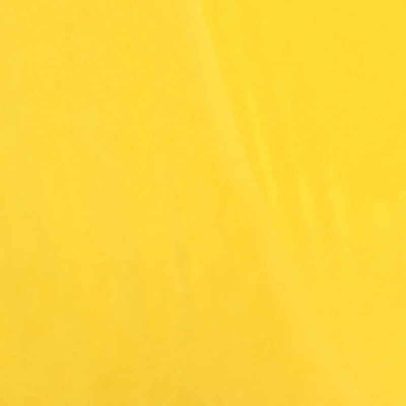 Ma Modern Velvet Accent Chair with Golden Legs Set of 2 by