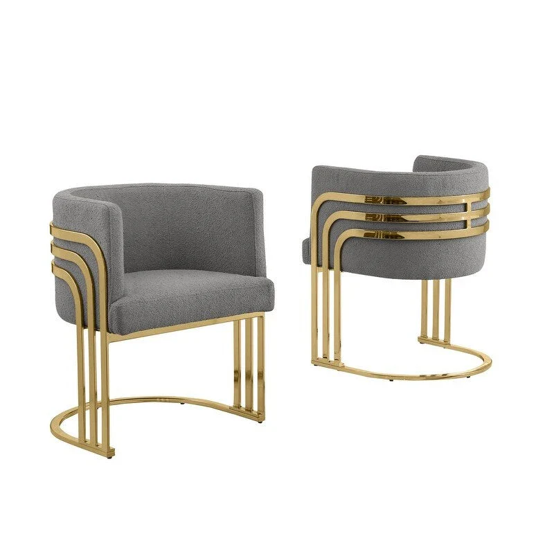 Best Quality Furniture Teddy Fabric Gold Chrome Base Dining Chairs (Set of 2) - N/A