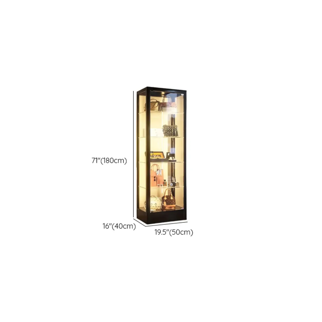 Enclosed Black 5-Shelf Metal Curio Cabinet with Light