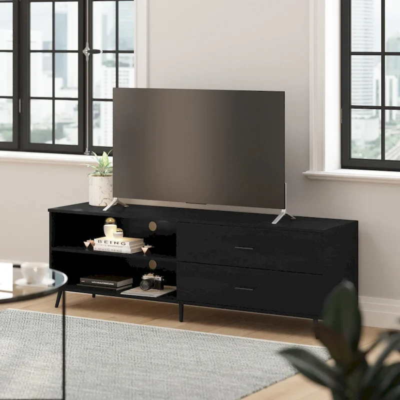Mid-Century Modern TV Stand with Adjustable Shelf and 2 Storage Drawers