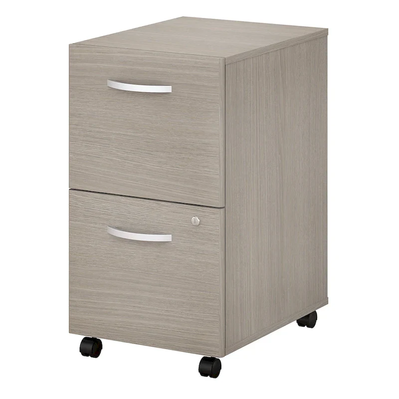 Studio C 2-drawer Mobile File Cabinet by