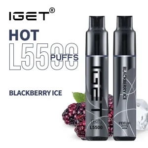 IGET HOT 5500 Puffs 31 Flavors