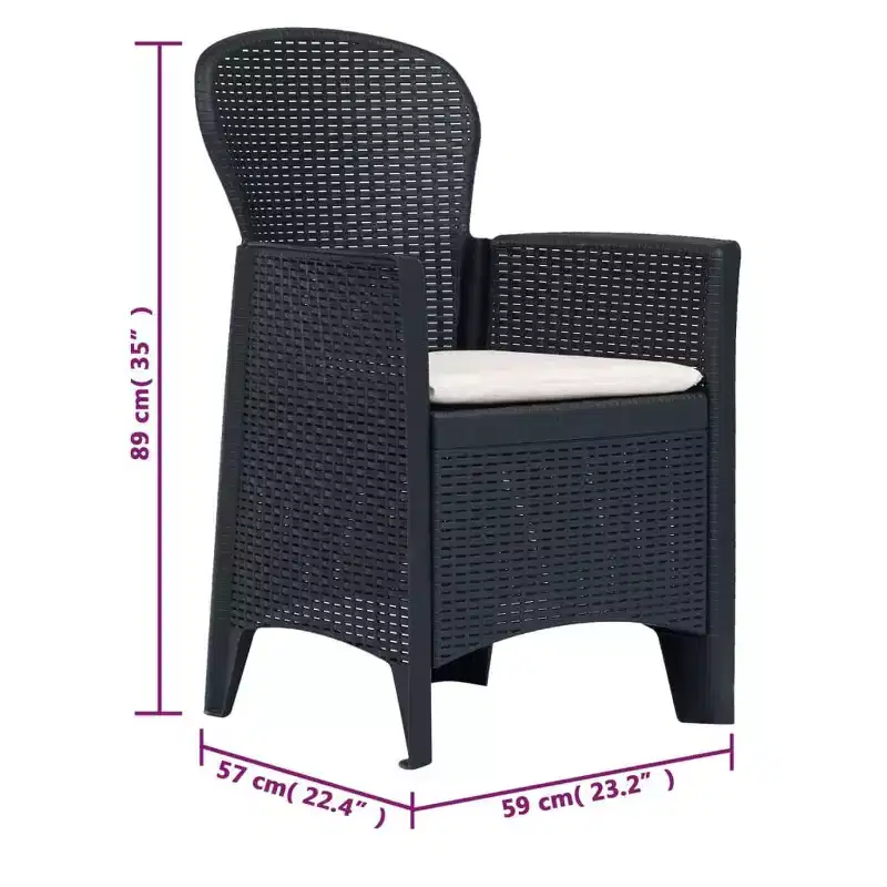 vidaXL Bistro Set Set of 2 Anthracite Plastic with rattan look Standard