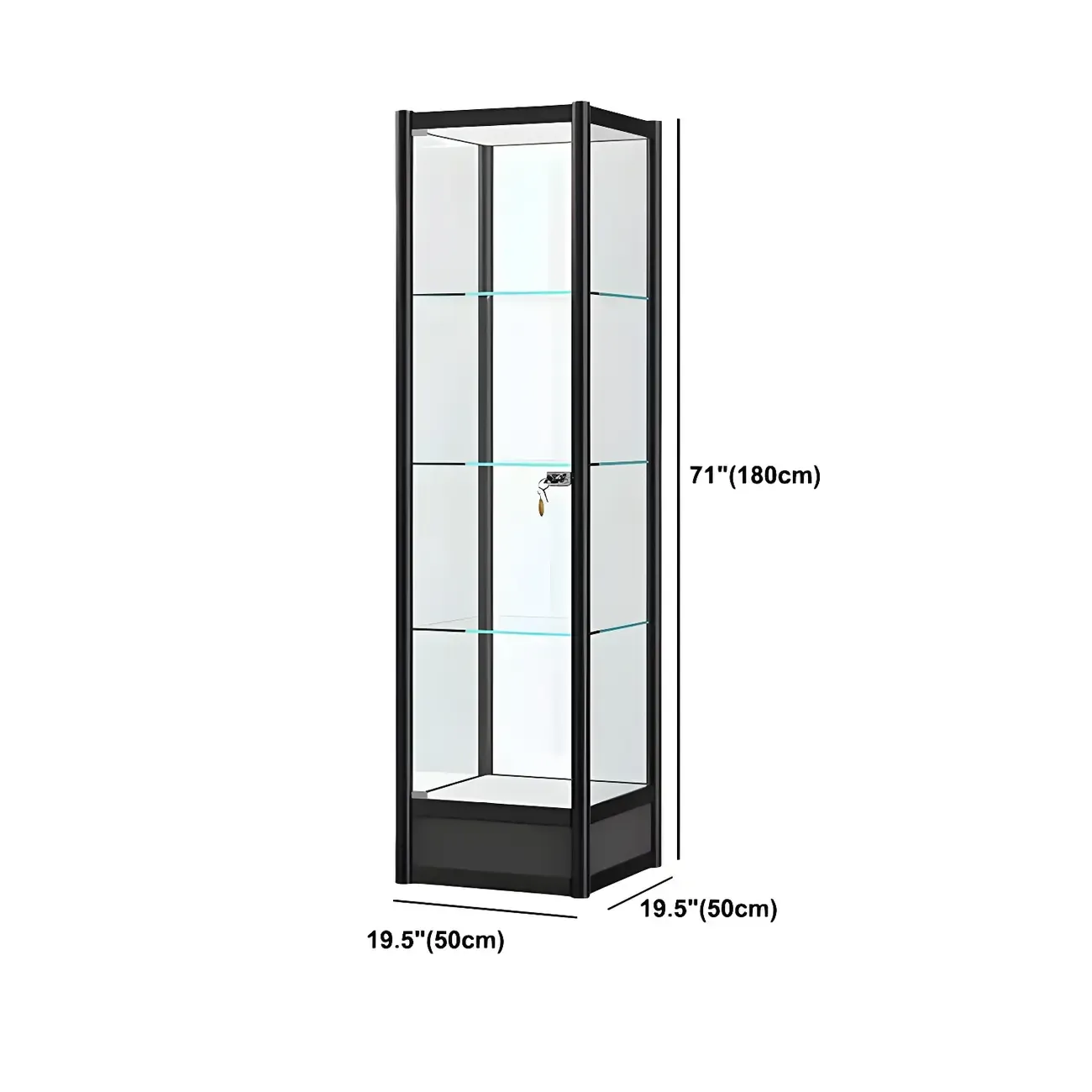 Rectangular Black Clear Glass Metal Frame Curio Cabinet