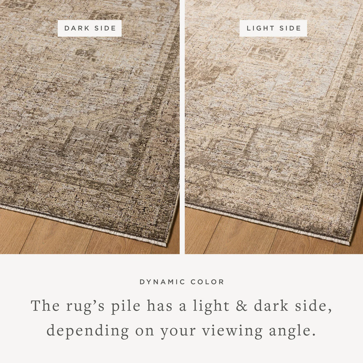 Priscilla Beige / Earth Rug