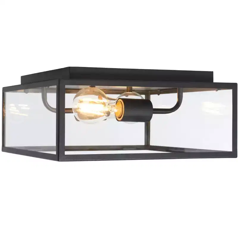 Rinnah 12 Outdoor Flush Mount - PLT7034 - Black - Safavieh
