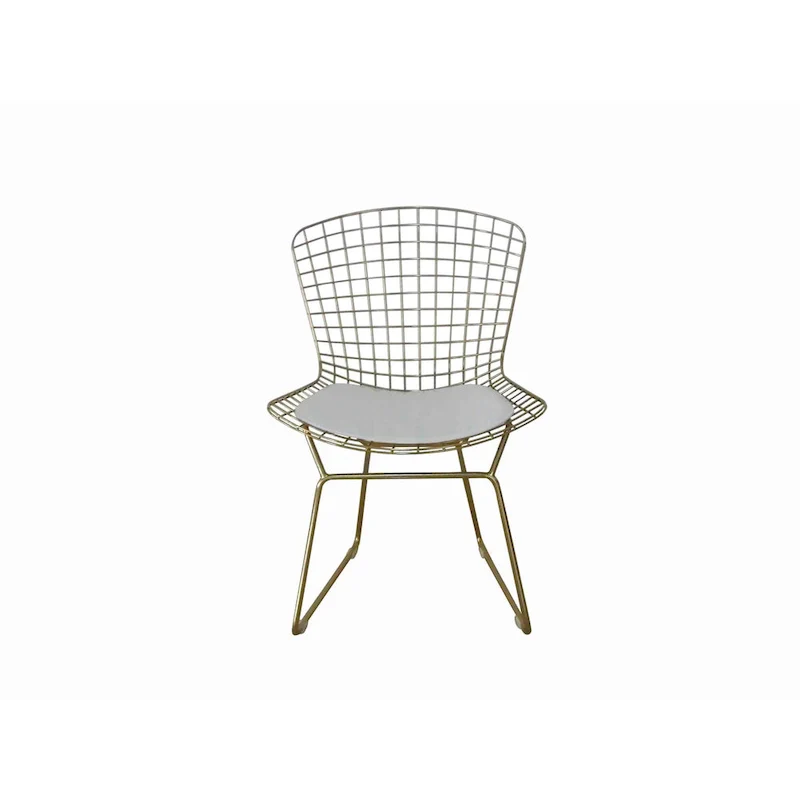 Hely 23 Inch Dining Chair Set of 2, 4 Cushions, Metal Cage Frame, Gold