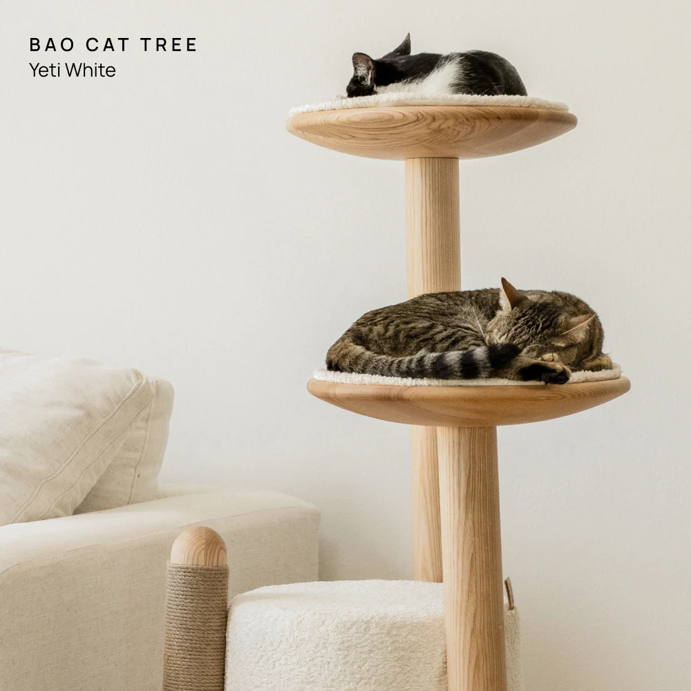 Cushion (For Bao & Gravity)