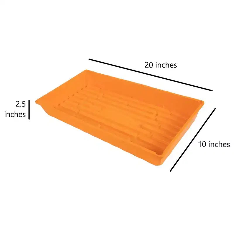 SUNPACK 10 x 20 Mega Plastic Seed Starting Tray, 2.5