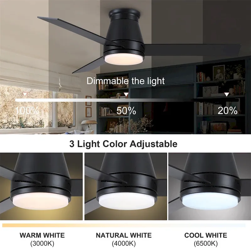 48  Lowe Profile Ceiling Fan with Light