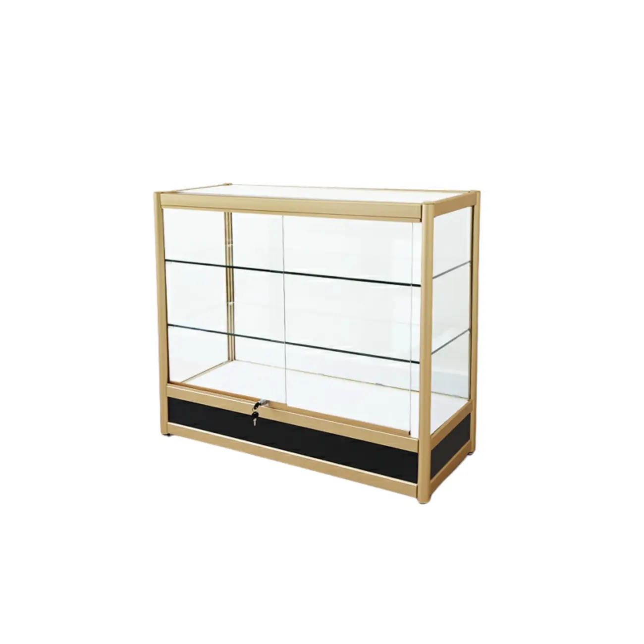 Gold Rectangular Metal Frame Glass Curio Cabinet