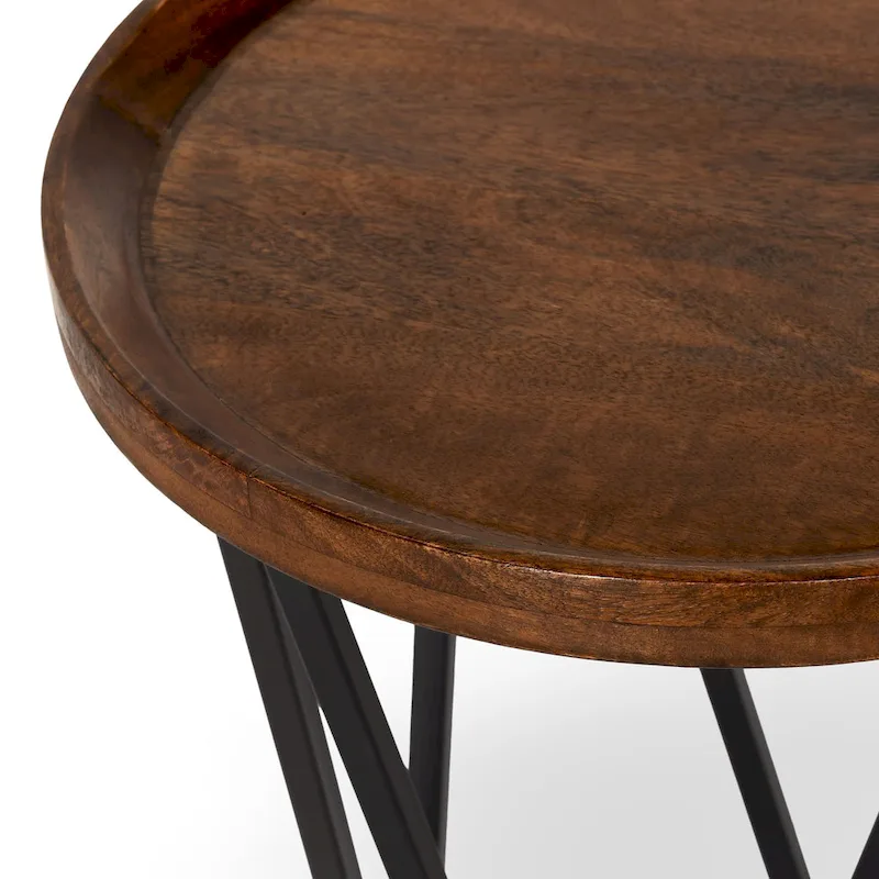 Lamar Mango Wood End Table in Medium Brown by Kosas Home