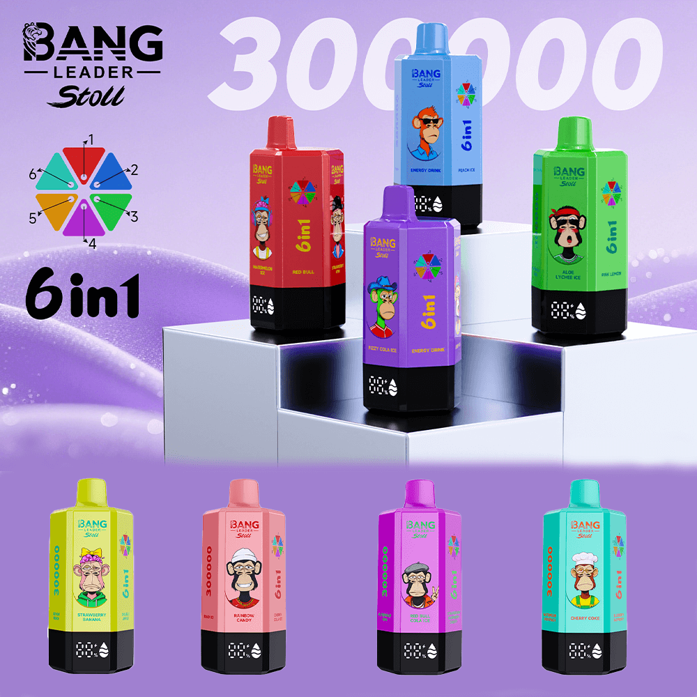 BANG LEADER 300K - 6IN1