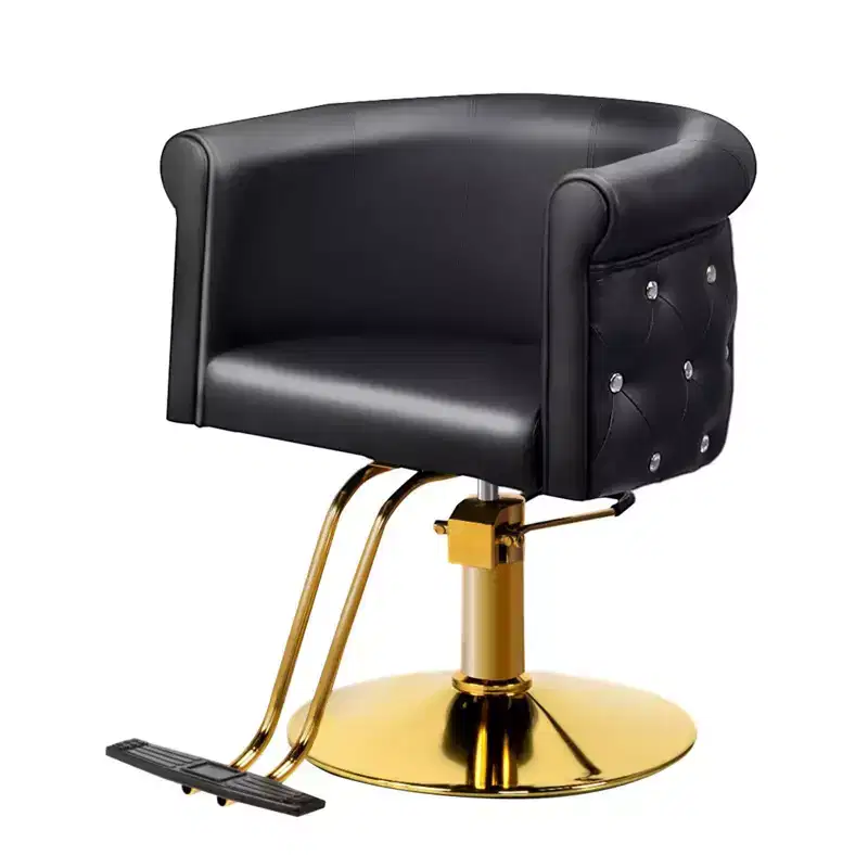 Karl Home Black Gold Modern Heavy Duty Hydraulic Swivel Hair Stylist Salon Chair with Curved Backrest