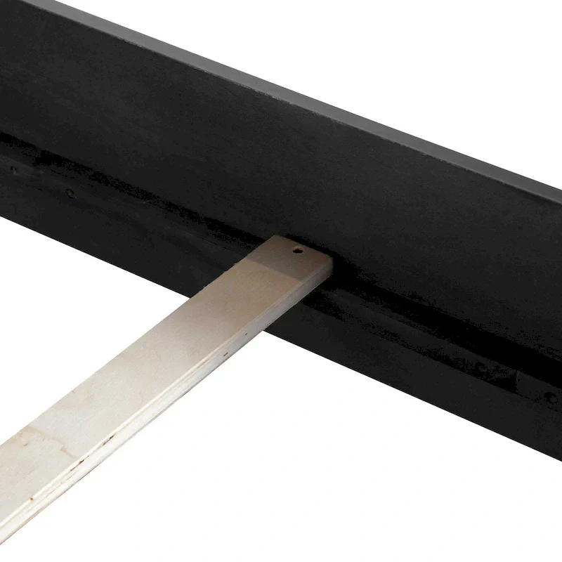 Alaric Modern Black Solid Wood Panel Bed with LED Light Headboard