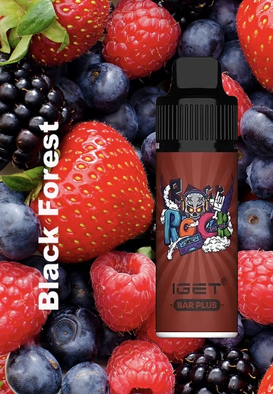 IGET BAR Plus 6000+ Puffs Pod Kit（with WALA brand Device）21 Flavors
