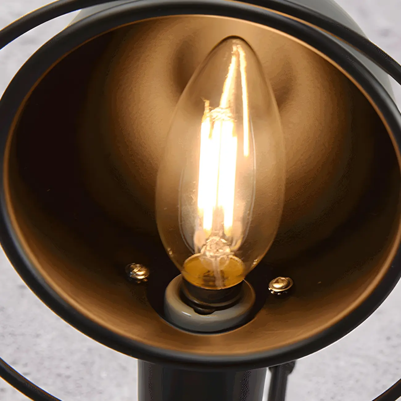 Industrial Black Dome 12“ Adjustable Arm Wall Sconce