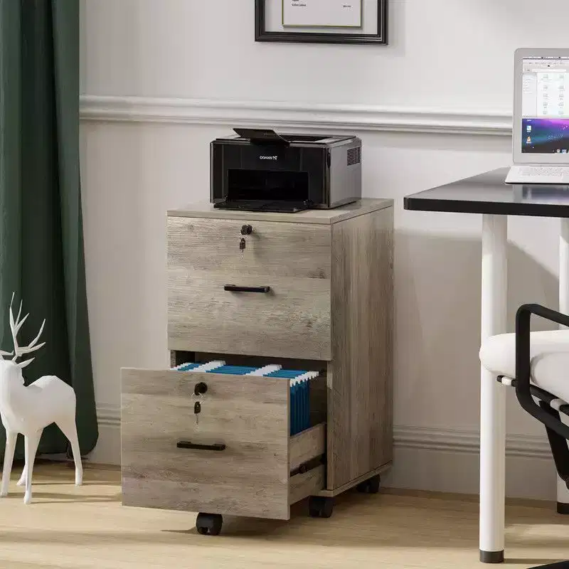 Karl Home | 15.7'' Wide 2 -Drawer Mobile File Cabinet
