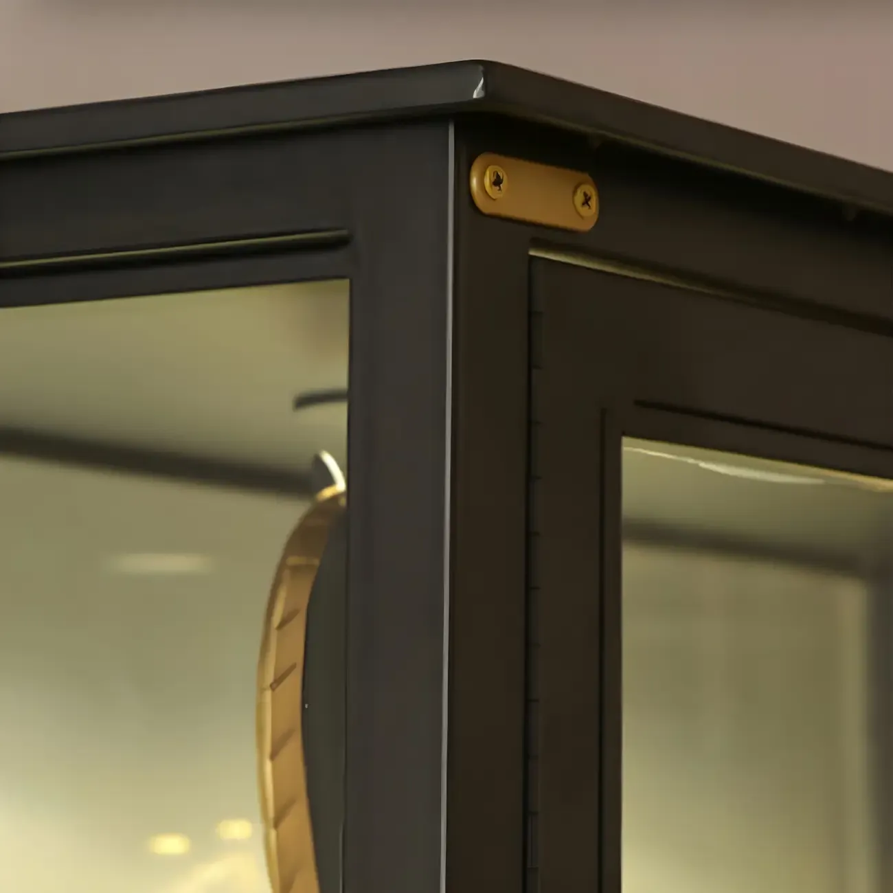 Black Metal Glass Shelves Display Cabinet with Lights