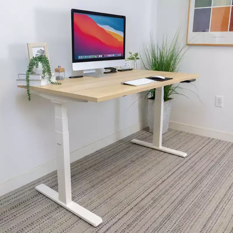 Mount-It! Dual Motor Electric Standing Desk with 55 Tabletop, Maple & White