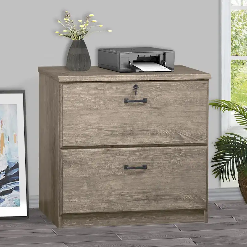 Saint Birch Honduras 2 Drawer Lateral Filing Cabinet