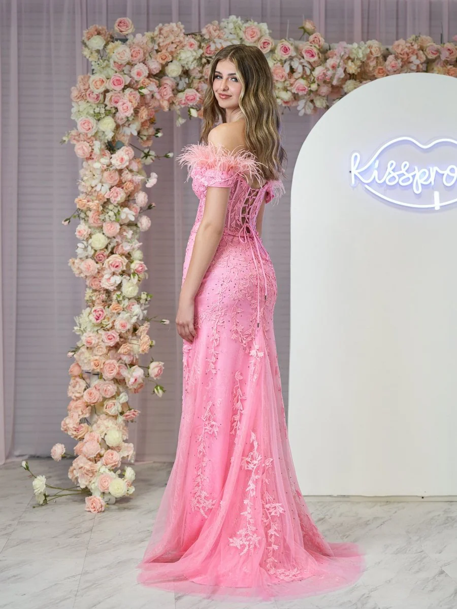 Mermaid Deep V Neck Feather Lace Long Prom Dress