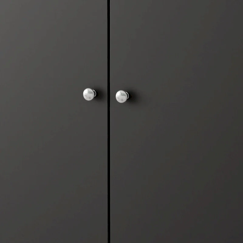 2-Doors 9 Tires Shoes Cabinet With Large Storage Space