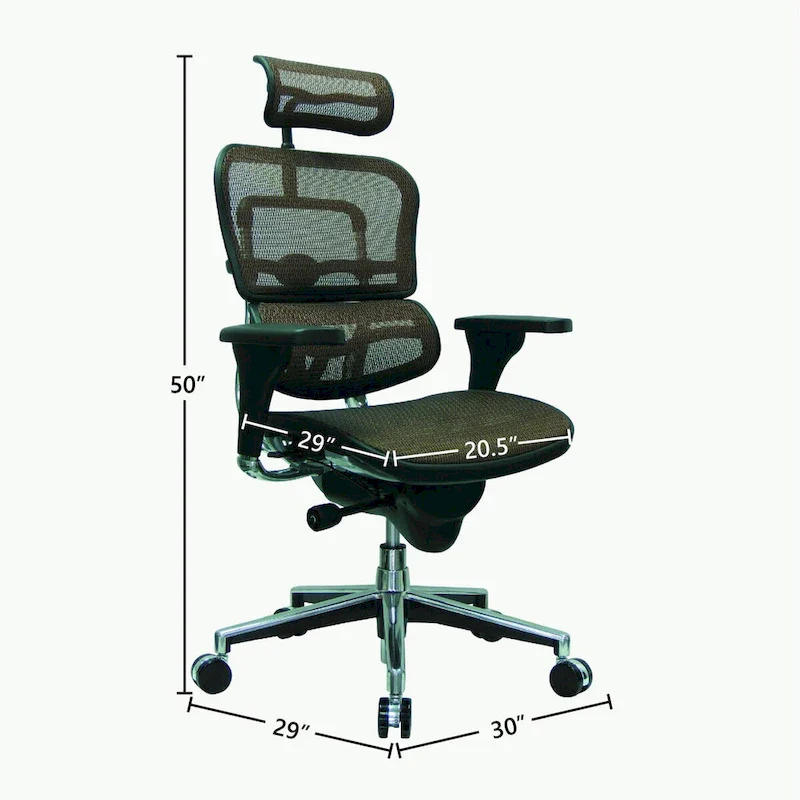 Ergohuman Mesh Managers Chair