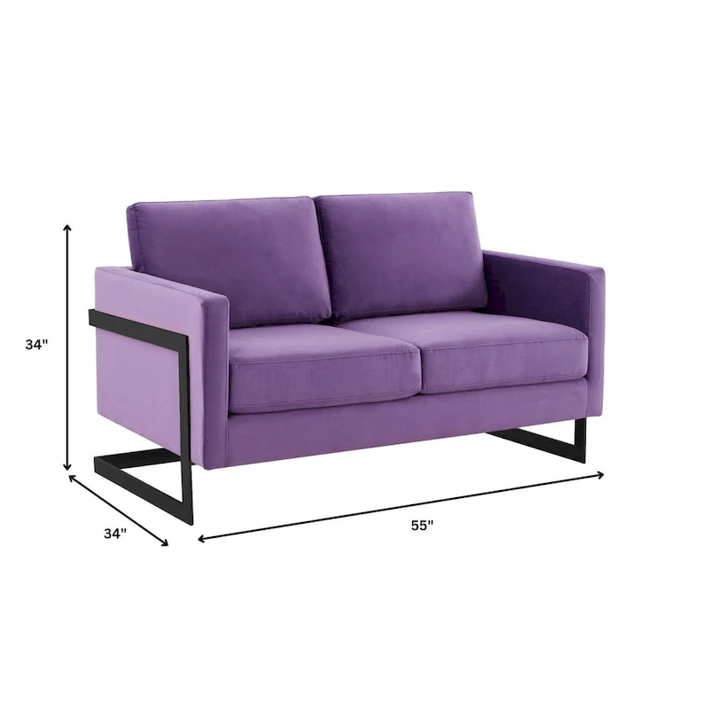 Upholstered Loveseat Sofa in Velvet Fabric with Removable Cushions and Stainless Steel Frame