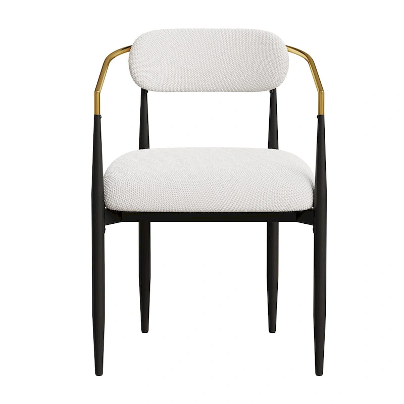 Set of 2 Modern Medieval Dining Chairs,Teddy Velvet, Metal Legs