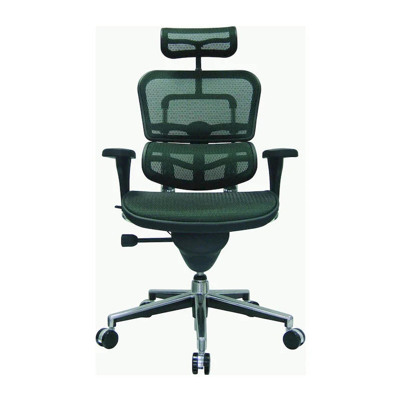 Ergohuman Mesh Managers Chair