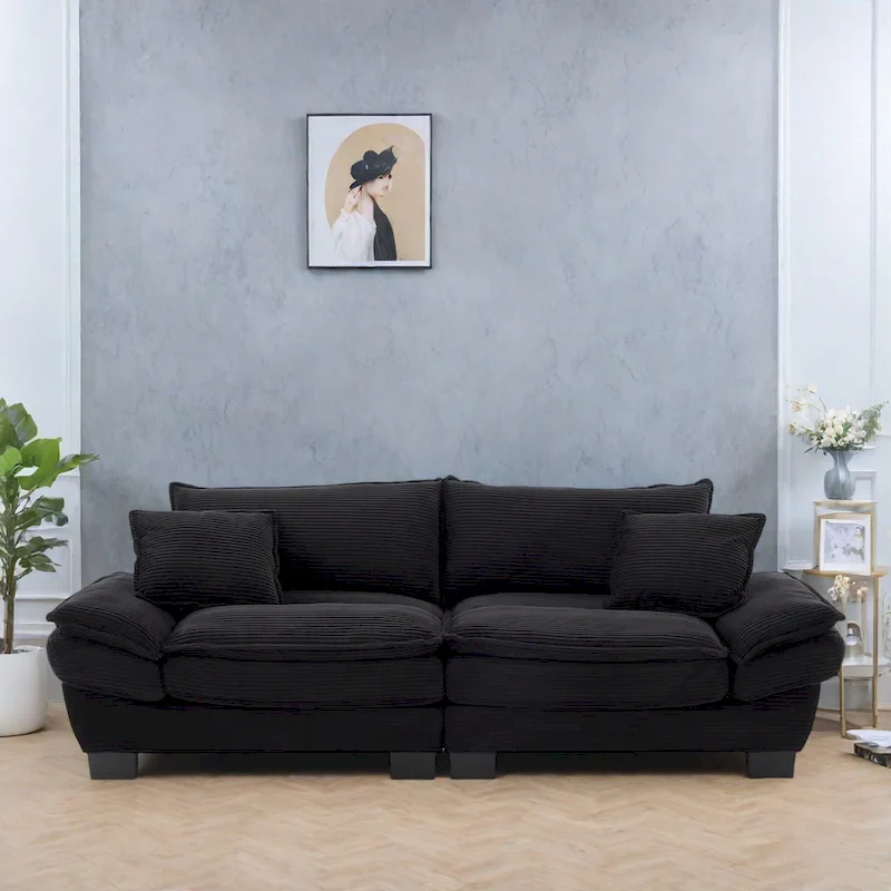 65.5 Upholstered 3-Seater Sofa Couch with Two Pillows and Sturdy Construction