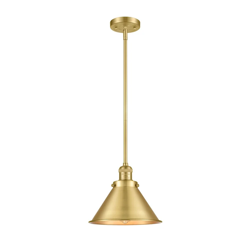 Innovations Lighting Briarcliff - 1 Light 10  Mini Pendant